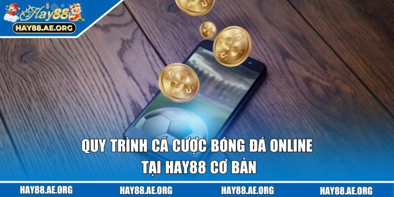 Quy trình cá cược bóng đá online tại HAY88